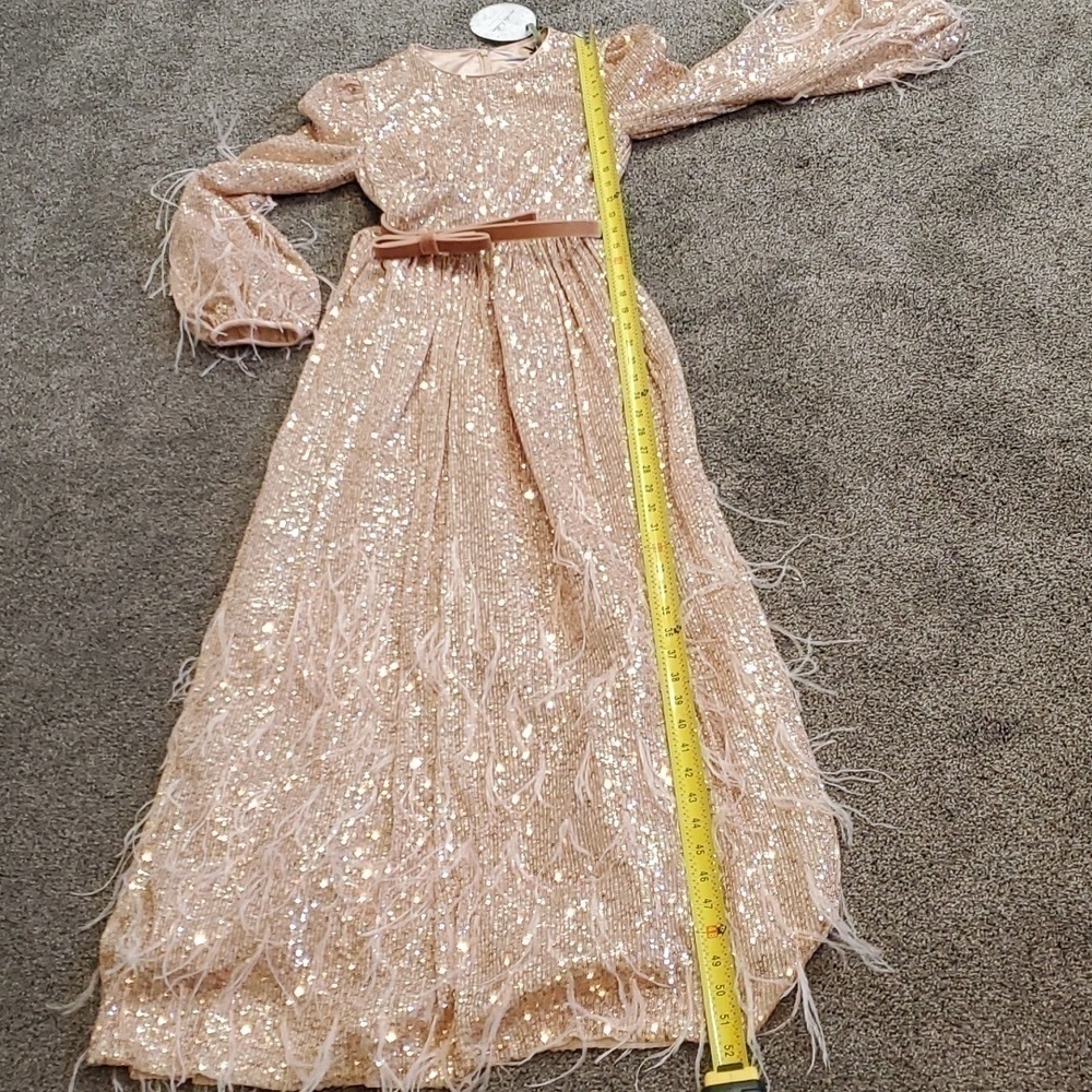 ANTONIO MELANI xNicola Bathie Nicola Sequin Belted Feathered A-Line 0 dress - Picture 12 of 16